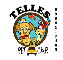 Logo Telles Pet Car 